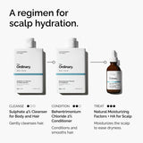 Natural Moisturizing Factors + HA for Scalp